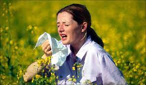 Seasonal Allergies Hay Fever New To Canada