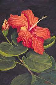 Tropical Flower Painting Red Hibiscus By Darice Machel Mcguire Hibiscus Flower Drawing Flower Painting Flower Drawing