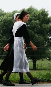 Top 10 Unknown Facts About Amish Mennonites Amish Amish Community Amish Family