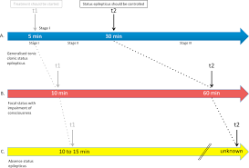 Image result for Status Epilepticus