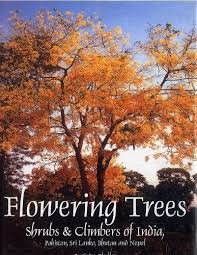 Check spelling or type a new query. Buy Flowering Trees Shrubs And Climbers Shrubs And Climbers Of India Book Online At Low Prices In India Flowering Trees Shrubs And Climbers Shrubs And Climbers Of India Reviews Ratings