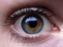 See more ideas about central heterochromia, heterochromia, beauty. Hat Meine Freundin Central Heterochromia Augen Farbe