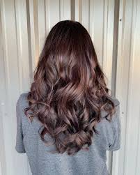 Black roots and shaggy plum hair streaks are just what the doctor ordered. 26 Plum Hair Color Ideas That Are Trending In 2021