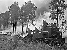 The following 15 files are in this category, out of 15 total. Scorched Earth Wildfires That Have Seared Our Conscience The Great Matheson Fire Ontario Canada The Economic Times
