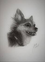 The drawing of a picture of your favorite canine friend can be a little tricky to get right, especially you can learn how to draw a dog following this easy tutorial. Dog Realistic Drawing Jms Studio Drawings Illustration Animals Birds Fish Dogs Puppies Chihuahua Artpal