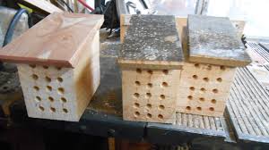 We did not find results for: Top 8 Best Mason Bee Houses For Sale 2020 Reviews