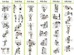 4 Day Plan For Beginner S Weight Training Workout Routine Workout Routine For Men Weight Training Workouts 6 Day Workout Routine