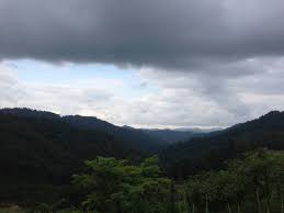 Elevation Of Buffalo Mountain Trailhead Hatfield Mccoy Trails 34 Oakwood Heights Road Williamson Wv Usa Topographic Map Altitude Map