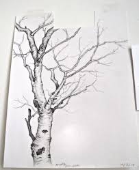 Artistic Black And White Tree Drawings Silver Thatch Treee Black And White Drawing Yahoo Image Search Results Tree Drawing Tree Drawings Pencil Birch Tree Tattoos