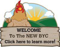 Staying healthy while controlling pests. 130 Farm Chicken Ideas Chickens Backyard Raising Chickens Keeping Chickens