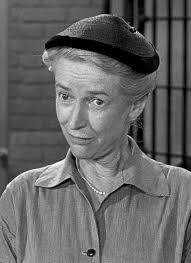 Wagon Train" The Juan Ortega Story (TV Episode 1958)