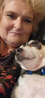 My Sweet Boy Otis❤️ You've Grown So much and I said I'd never have a  Chihuahua 😂🤣 the Love of My Life Right Here🙏❤️