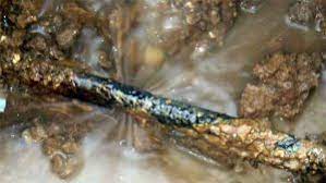 Maybe you would like to learn more about one of these? Gejala Dan Cara Memperbaiki Pipa Bocor Dokter Pipa