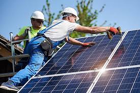 Photovoltaik 2020 Unglaubliche Forderung In Quedlinburg In 2020 Schwarzaugige Susanne Sichtschutz Pflanzen Einjahrige Kletterpflanzen