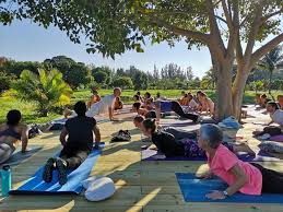What was it like to be a part of. Book Yoga Teacher Training And Retreats In Florida Usa Diaita Yoga