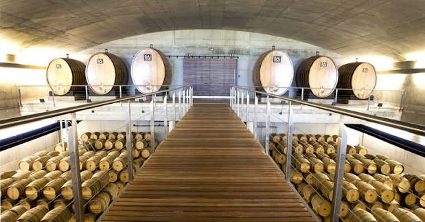 Rioja Alavesa Panoramic Vineyards