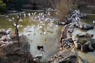 نتیجه تصویری برای باغ پرندگان تهران