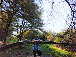 Pantai lembupurwo ini berada di lokasi kecamatan mirit. Serunya Menyusuri Lima Keistimewaan Pantai Laguna Lemburpurwo Mirit Kebumen Bambang Irwanto Ripto