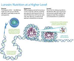 Lunasin And Epigenetics Lunasin Reliv Www Maine Reliv Com Reliv Epigenetics Nutrition