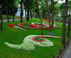 emirgan korusu sonbahar istanbul ibbpr ibb park garden flowers nature season autumn front yard landscaping design outdoor landscaping garden design