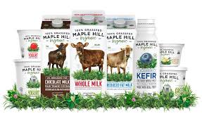 Since consumers started to demand more honesty among. How Branding Put Maple Hill At The Top Of The Grass Fed Dairy Business 2020 02 14 Dairy Foods