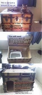 Lpt For Cat People With Small Apartments Turn Almost Any Used Furniture Into A Stylish Kitty Outhouse Litter Box Cat Diy Cat Litter Box