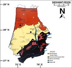 Image result for Sopubia ugandensis