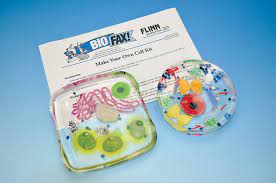 Check spelling or type a new query. Make Your Own Cell Student Laboratory Kit Flinn Scientific
