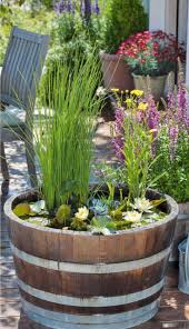 Balkon Ideen Selber Machen Ein Mini Teich Im Topf Balkon Balkon Balkonideen Ein Ideen Machen Miniteich Sel Mit Bildern Miniteich Topfgarten Bepflanzung