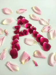 See more ideas about girls dpz, stylish girl, stylish dpz. Stylish Dpz Of Flowers 720x960 Wallpaper Teahub Io