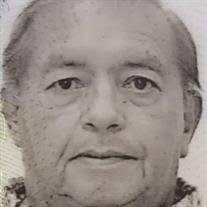 Toby A. Maez Obituary