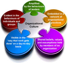 Organizational Culture Dissertation Blog