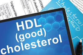 Hdl Cholesterol How Much Is Enough Harvard Health