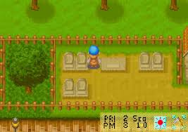 More friends of mineral town. Harvest Moon Friends Of Mineral Town Download Gamefabrique