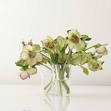 Design legend alvar aalto created his iconic series of glass vases in 1936. Iittala Alvar Aalto Vase 120mm 4 74 Clear Buy Online In Colombia At Desertcart Co Productid 60483767