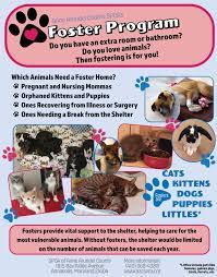 Paws for life has adopted pets into homes throughout much of central north carolina, and occasionally to other states! Spca Of Anne Arundel County