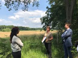 Terug naar oernatuur in de vallei van de zwarte beek | find, read and cite all the research you need. Investering Van 4 2 Miljoen Euro Moet Vallei Rond De Zwarte Beek In Beringen Verder Herstellen Agentschap Voor Natuur En Bos