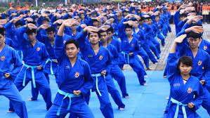 Widuliya/ this video shows a vovinam viet vo dao demonstration in the festival of martial arts bercy paris (march 2008) with the participation of. Tim Hiá»u Vá» Vo Vovinam Niá»m Tá»± Hao Cá»§a Dan Tá»c Viá»t