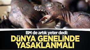 birlesmis milletler den elizabeth maruma mrema vahsi hayvan pazarlarinin dunya genelinde yasaklanmasi cagrisi yapti hayvan vahsi hayvanlar radyo