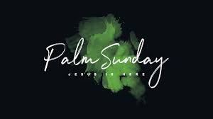 Thomas the apostle parish in phoenix and has been writing and leading parish bible studies since 1996. Palm Sunday Quotes Palm Sunday Sunday Quotes