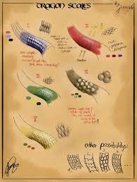 Maybe you would like to learn more about one of these? Types Of Dragon Scales Character Design References Www Facebook Com Characterdesignreferences Pinterest Co Types Of Dragons Dragon Art Dragon Drawing