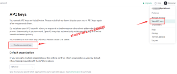 通过国外Windows云服务器来注册OpenAI账号体验ChatGPT完整流程 ...