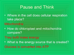 Cellular respiration is the process whereby energy is harvested from carbon compounds (food molecules) as they pass through a series of enzyme catalyzed reactions. Photosynthesis And Cellular Respiration