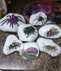 Shaun Parsons Secret Stones Facebook Eastbourne Uk With Images Rock Painting Art Rock Crafts Painted Rocks