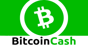 1 how to cash out large amounts of bitcoin fast. Bitcoin Cash Everything You Need To Know By Bethany Allison Purse Blog