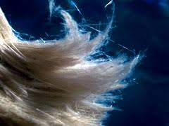 Image result for images Airborne Asbestos Fibers