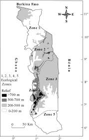 Image result for Ceropegia togoensis
