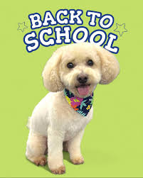 Karly's cuties from Friday. 🐾 📚 🐾