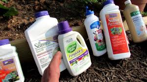 4 Common Mistakes Made When Managing Fungal Diseases In The Garden Overview Of 6 Basic Fungicides Youtube Fungicide Fungal Diseases Compost Tea