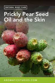 It is known that all cactus plants are not edible. Prickly Pear Seed Oil And The Skin The School Of Aromatic Studies Figs Benefits Prickly Pear Prickly Pear Oil